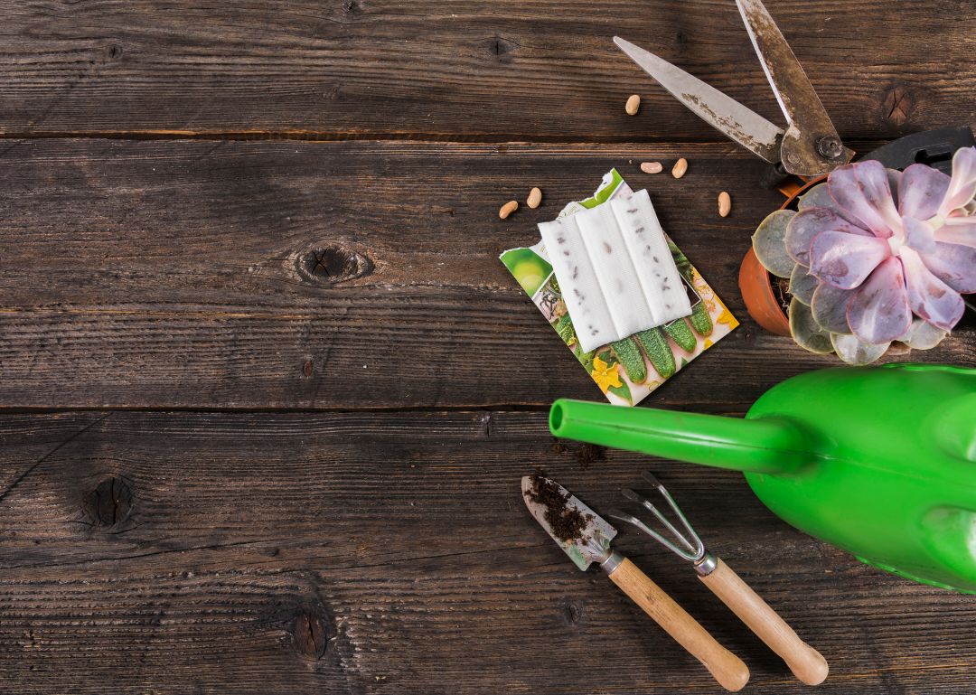 Backyard DIY Projects