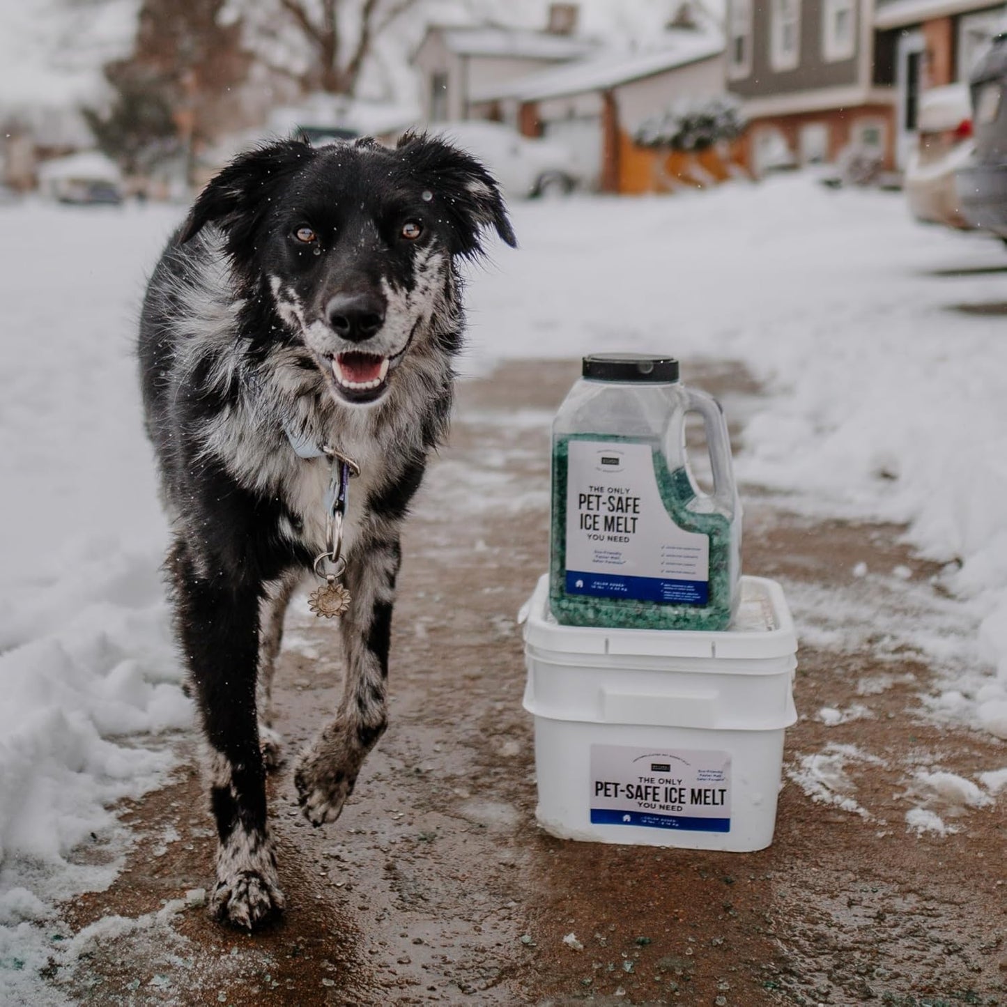Natural Rapport Pet Friendly Ice Melt - Calcium Chloride Free, Pet Safe Ice Melter, Rock Salt Alternative - Time Release Deicer Formula Lasts 3X Longer (35 lb)