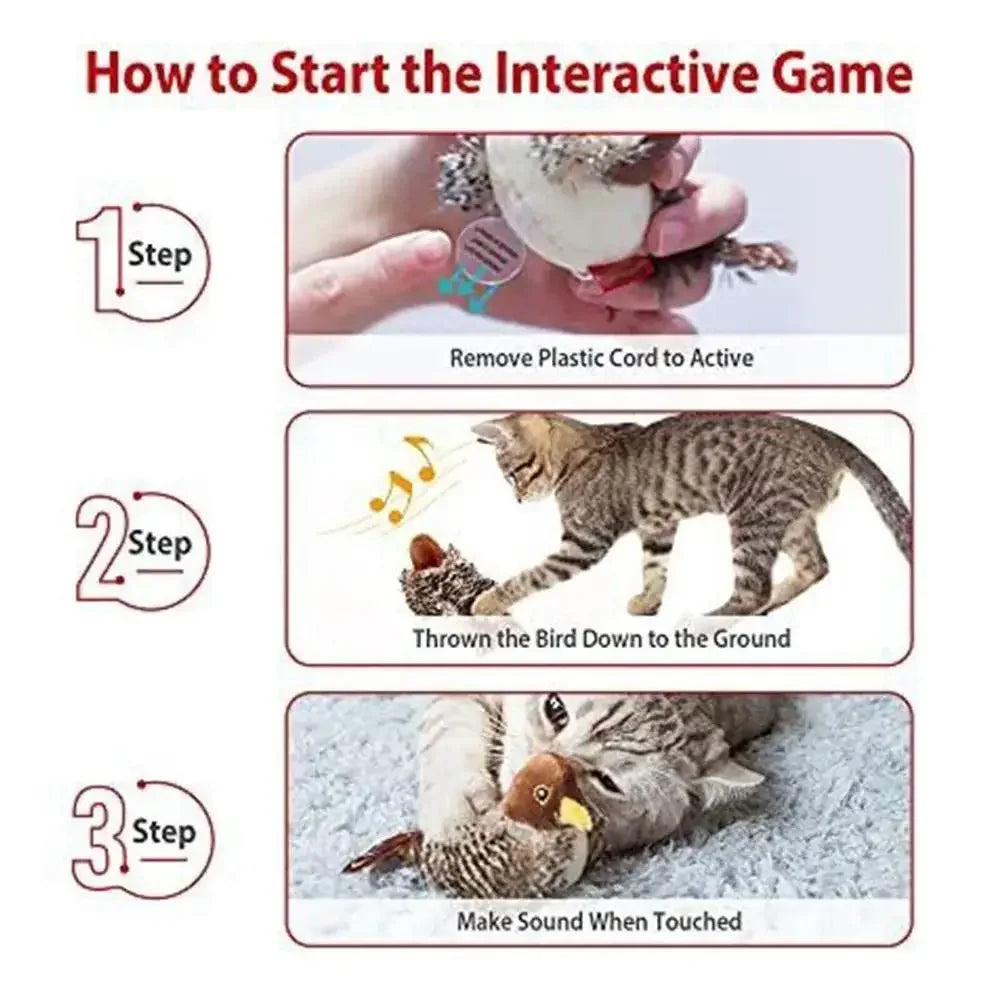 Interactive Simulation Cat Bird