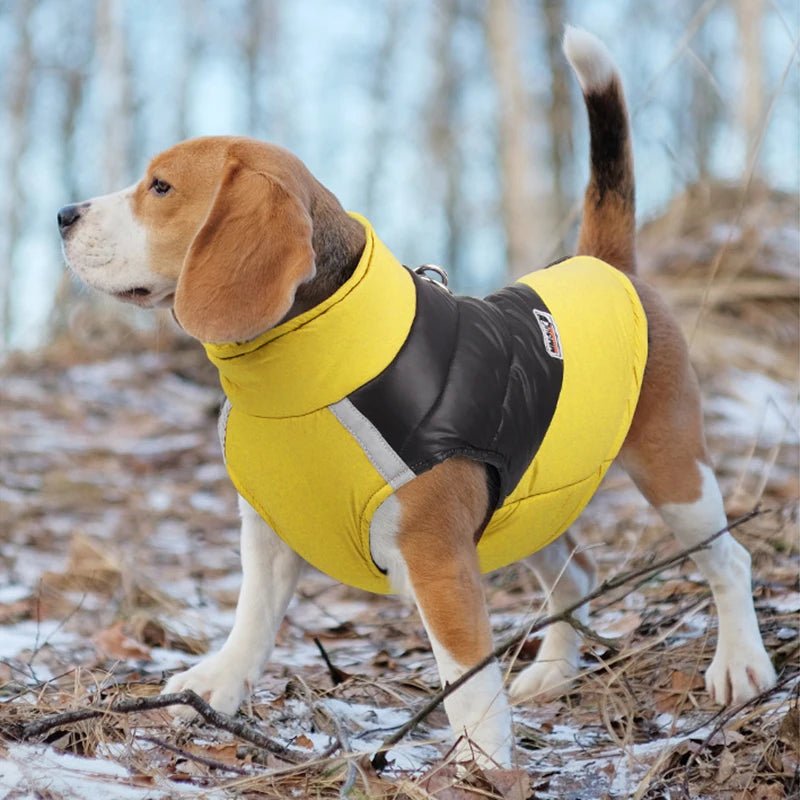 Waterproof Dog Jacket