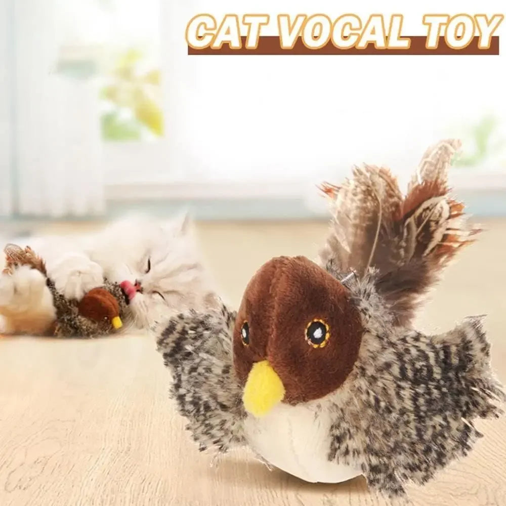 Interactive Simulation Cat Bird