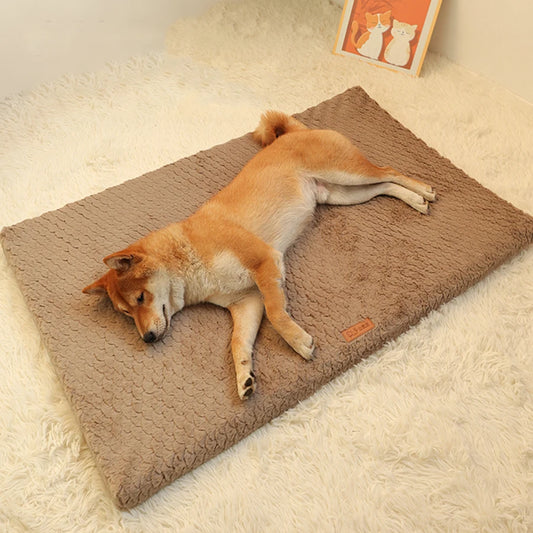 Short Plush  Removable Pet Bed