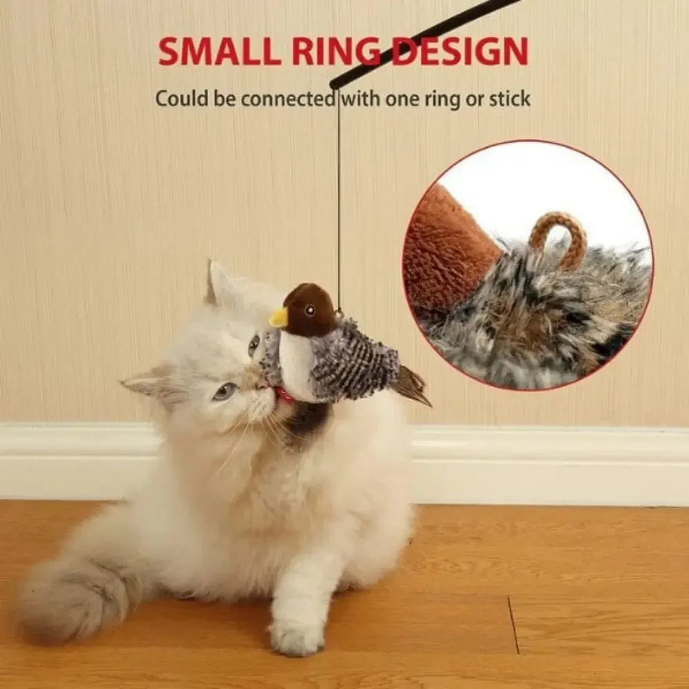 Interactive Simulation Cat Bird